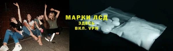 амф Новозыбков