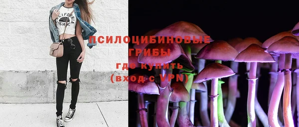 амф Новозыбков