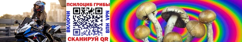 Галлюциногенные грибы ЛСД  Купить где  Новочебоксарск 